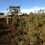 Scrub clearance on Salisbury Plain