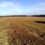 Scrub clearance on Salisbury Plain