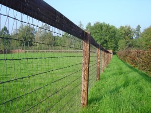 Keep Safe Fencing erected by Conservation Contractors of Devizes