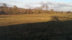 Equestrian post and rail fencing at Manton