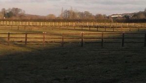 Equestrian post and rail fencing at Manton