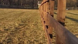 Equestrian post and rail fencing at Manton