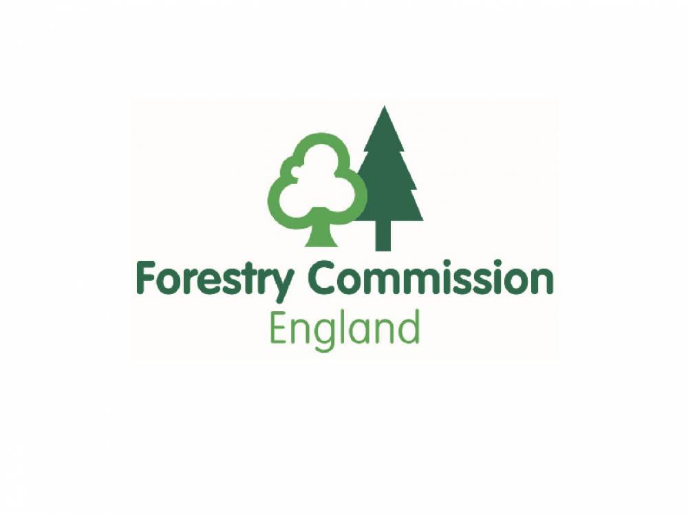 Forestry commission logo 2 - Conservation Contractors