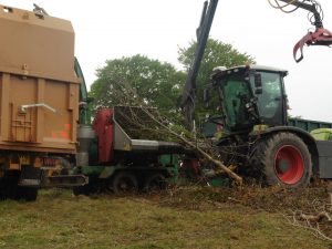 Converting waste timber to biomass