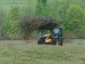 Converting waste timber to biomass