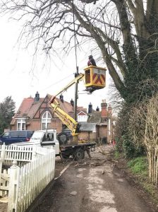 Health and safety tree works today for Pewsey Parish Council