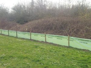 Newt-fencing-in-Tidworth