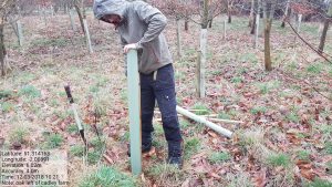 Planting 670 trees Potterne