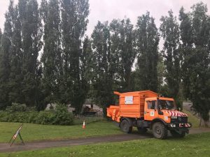 Reduction of poplars in Melksham