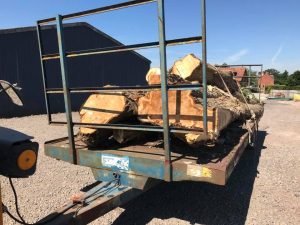 Reduction of poplars in Melksham