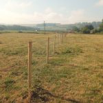 2500m demarcation fencing for utilities company in Wroughton