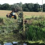 Removing fallen willows from the river at Lacock 1