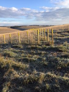 Demarcation posts Salisbury Plain Oct 2018