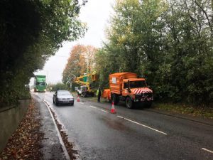 Tree reductions in Westbury