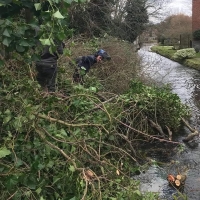 Watercourse clearing