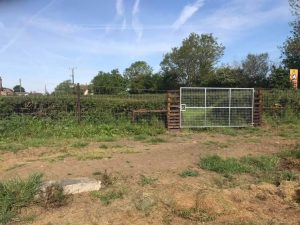 Deer Fencing in Melksham