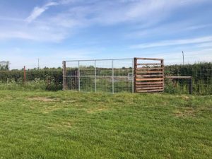 Deer Fencing in Melksham