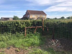 Deer Fencing in Melksham