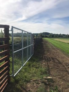 Deer Fencing in Melksham