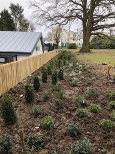 Landscaping at Ticehurst