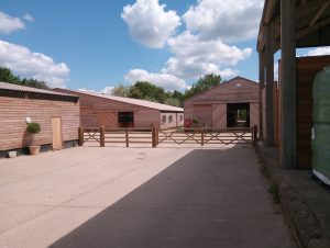 Manton Downs Racing Yard Project - five-bar gate