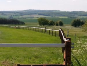 Manton Downs Racing Yard Project showing stud rail