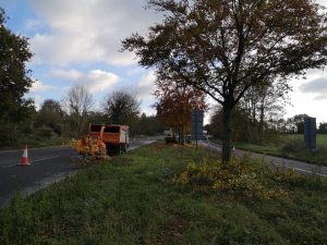 Crown-lifting-of-30-beech-trees-Bodenham-