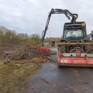 Clearing of dense scrub at Blandford Camp