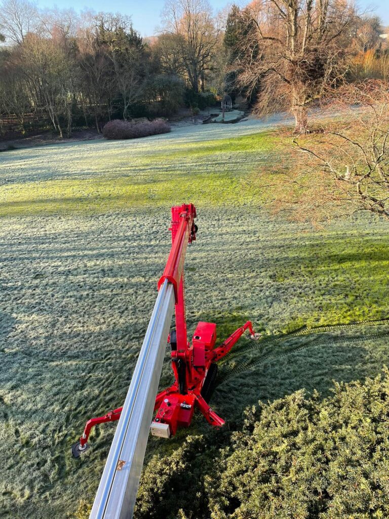 hedge trimming at Clyffe Hall