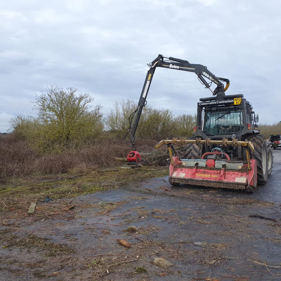 Clearing of dense scrub at Blandford Camp