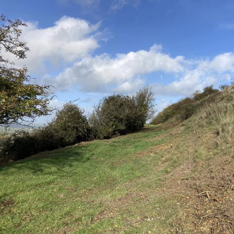 Mulching Scrub for the National Trust on Cley Hill, Warminster