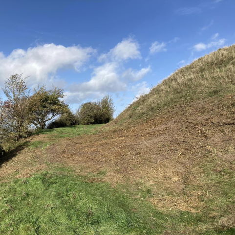 Mulching Scrub for the National Trust on Cley Hill, Warminster