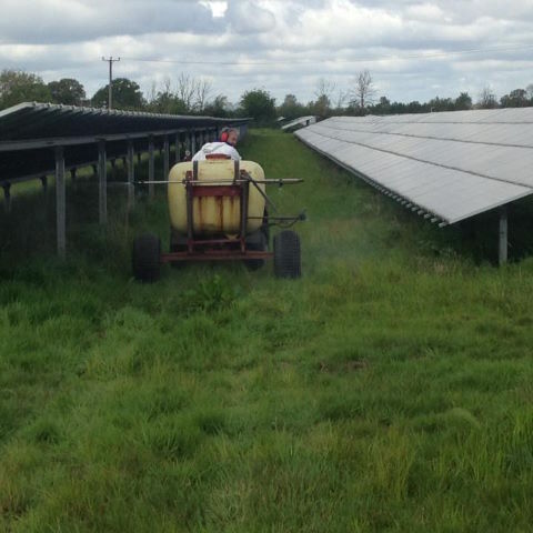 Weed control on a 100 ac Solar Farm Trowbridge