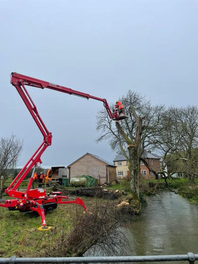 Our Spiderlift 23m MEWP – just the job for those hard-to-reach trees