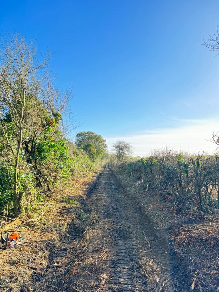 cut back an over grown Byway for WCC