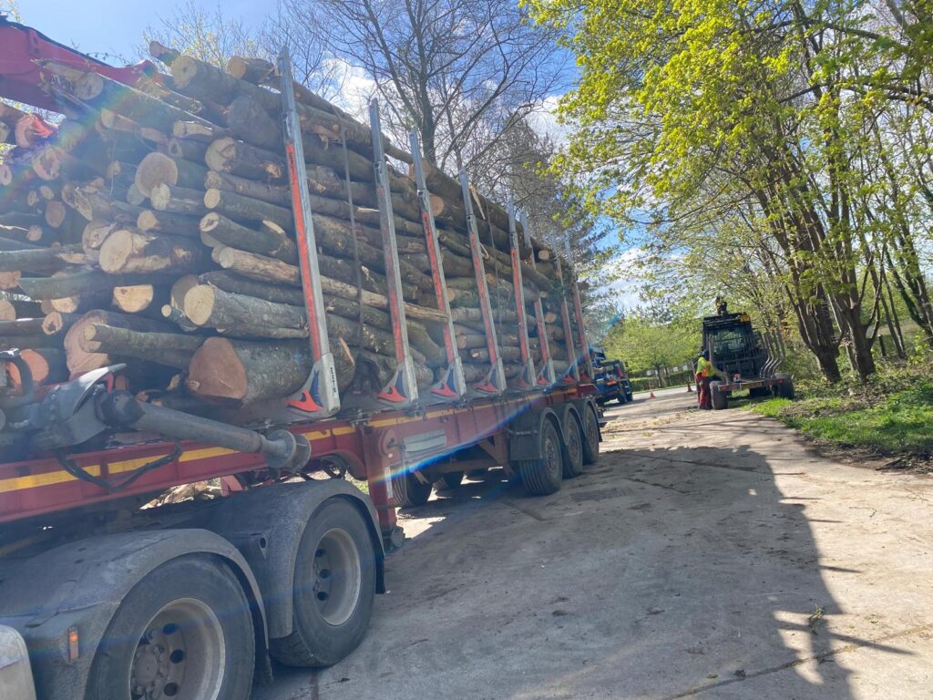 logs for processing into firewood