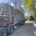 logs for processing into firewood