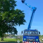 Treatment of oak trees for Oak Processionary Moth Control