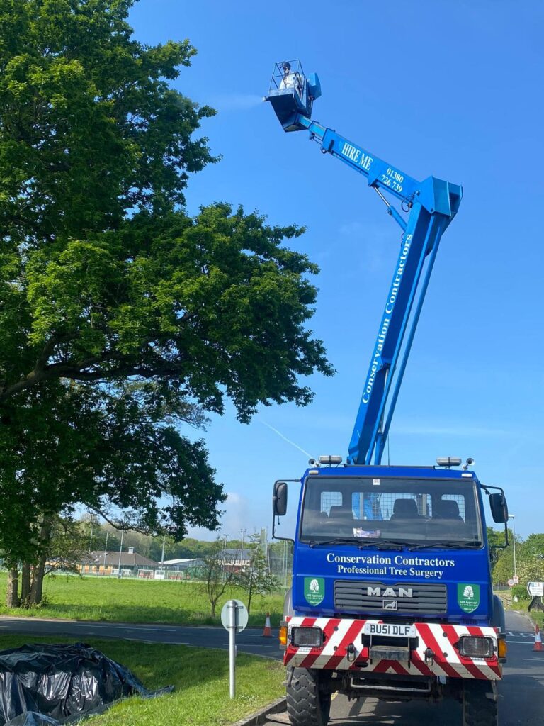 Treatment of oak trees for Oak Processionary Moth Control