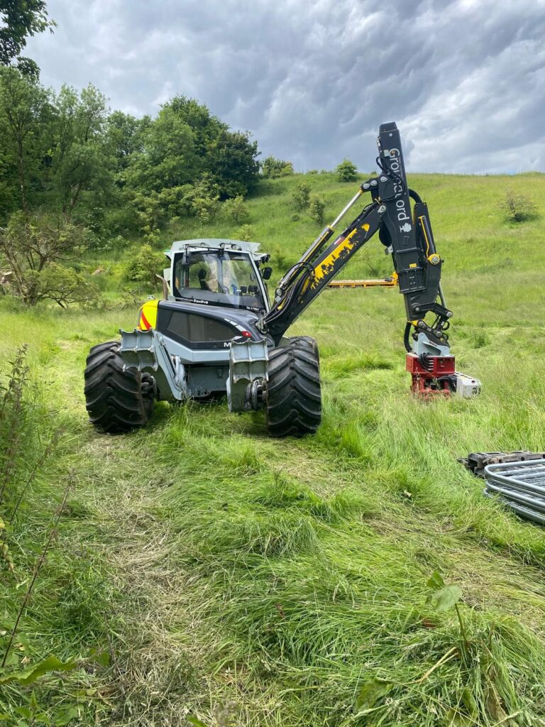 clearing steep woodland
