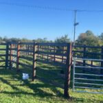 fencing project in Wilsford