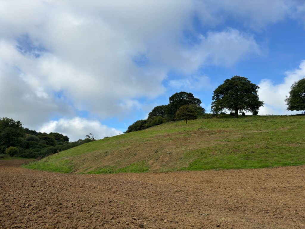 Gorse control with the robo flail