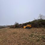 Clearing bramble and dense scrub on the Mendips