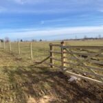 Mulching fencing and then protection for ground nesting birds