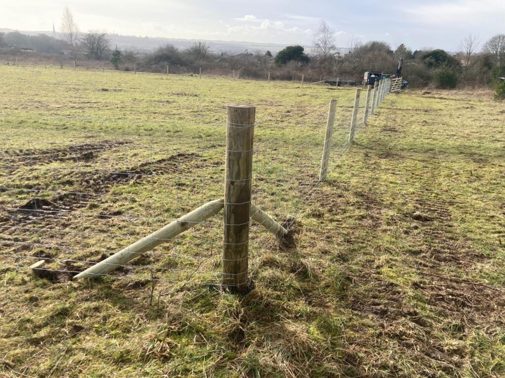 after mulching this site,  it has been fenced to provide a protective haven for ground-nesting birds